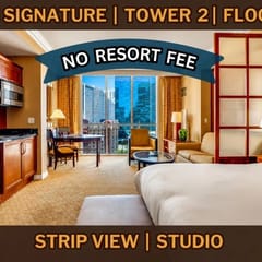 MGM Signature Studio 8703